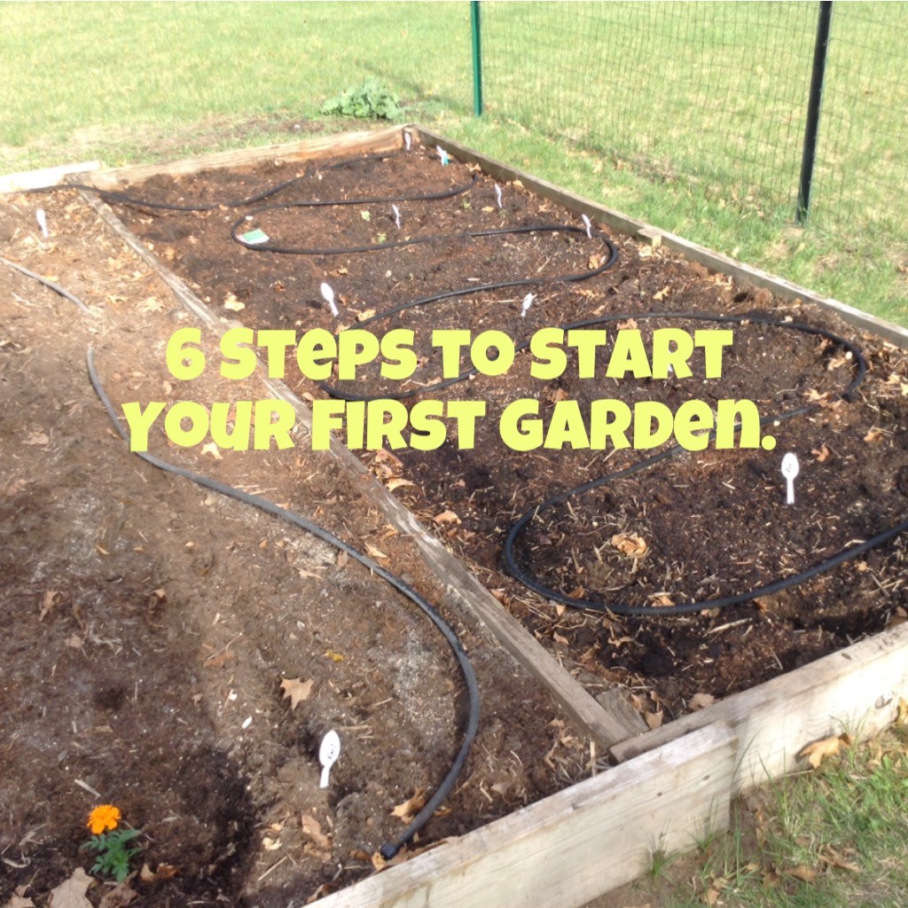 Title six steps to start your first garden