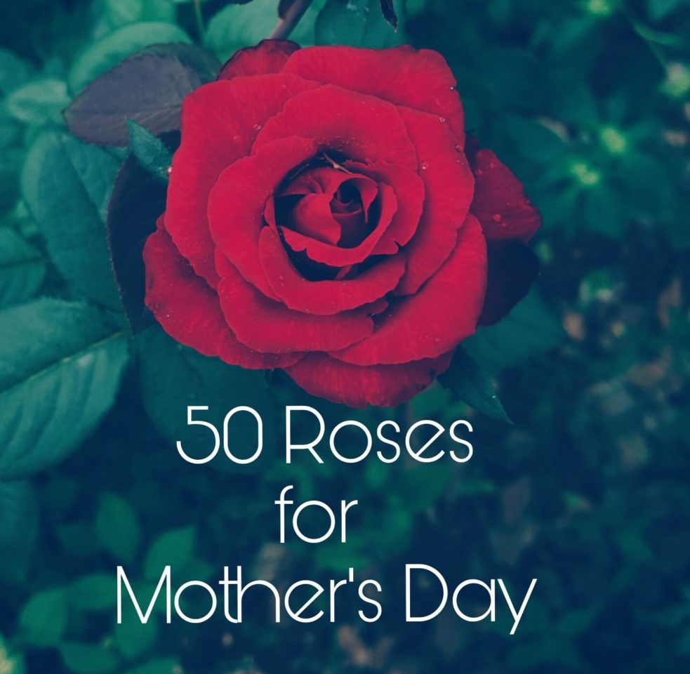 50 Roses