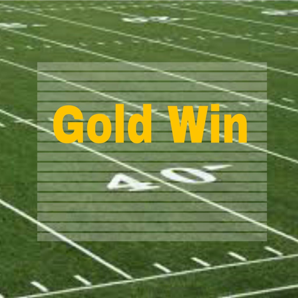 Team Name Gold Win