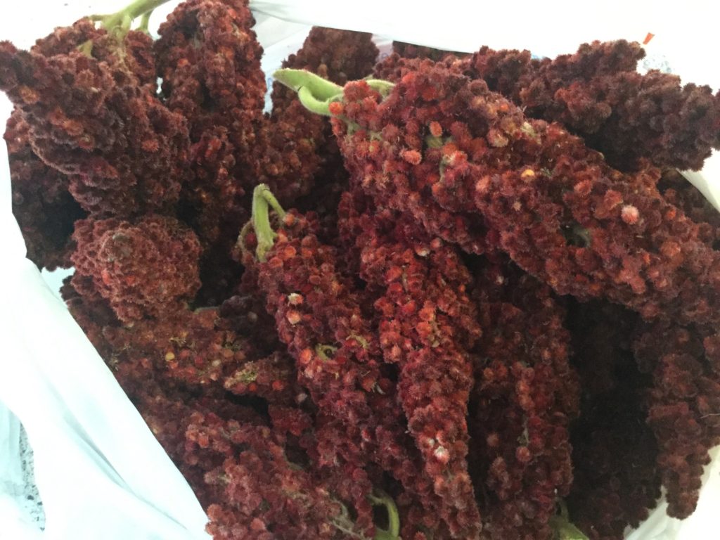 Sumac bunches