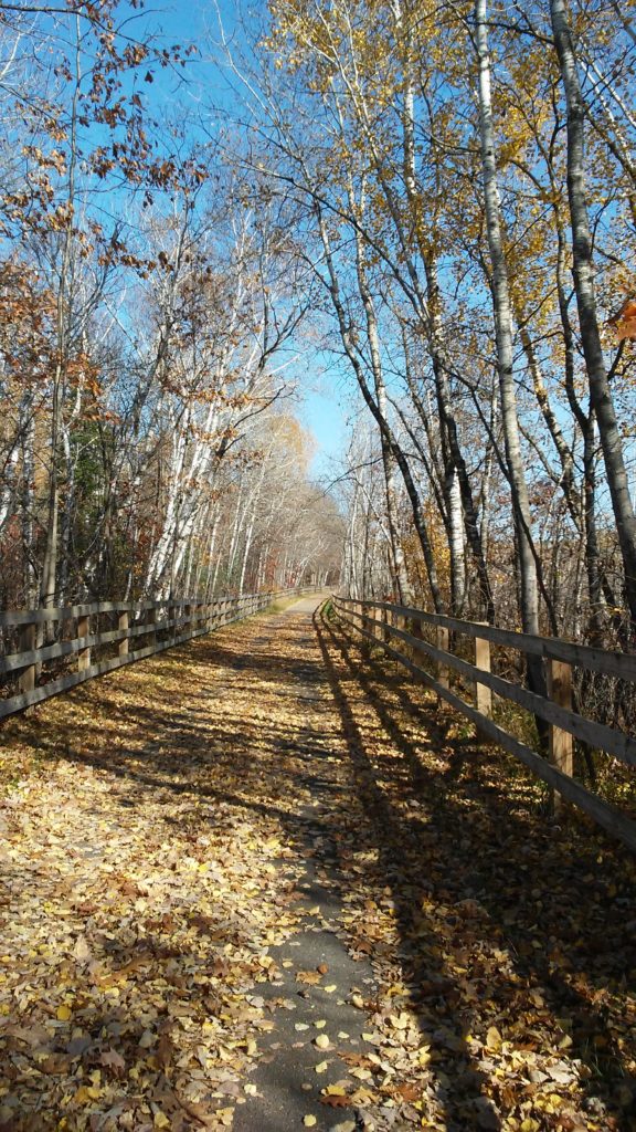 Bike Trail in the FAll