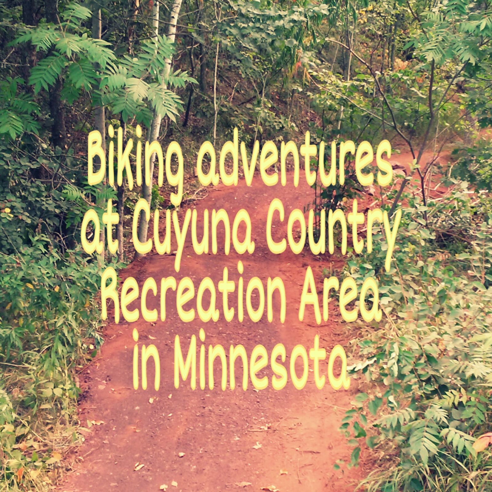 Biking Adventures in Minnesota