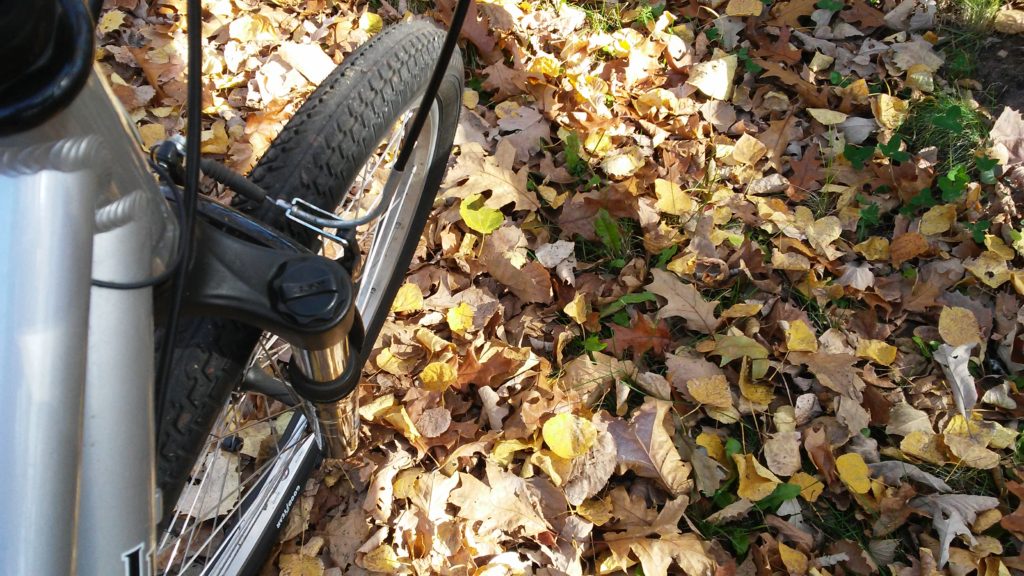 Fall Biking