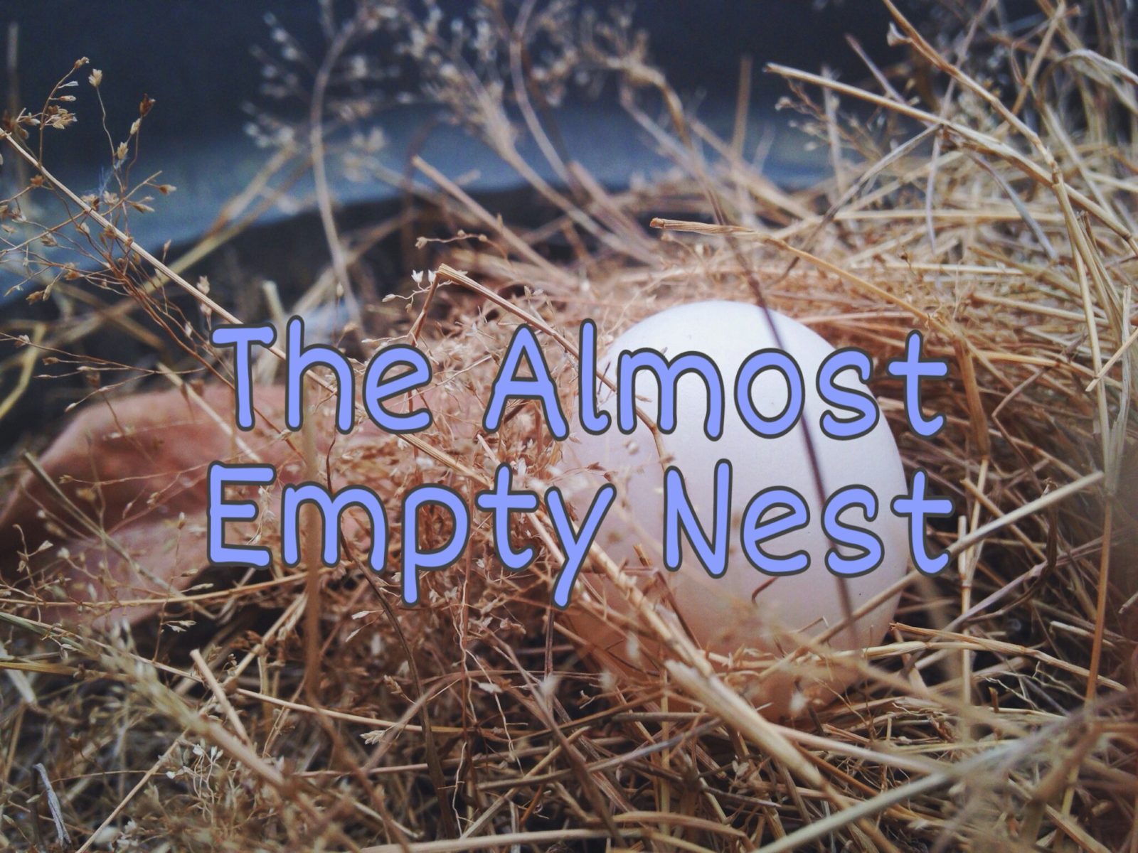 The Almost Empty Nest