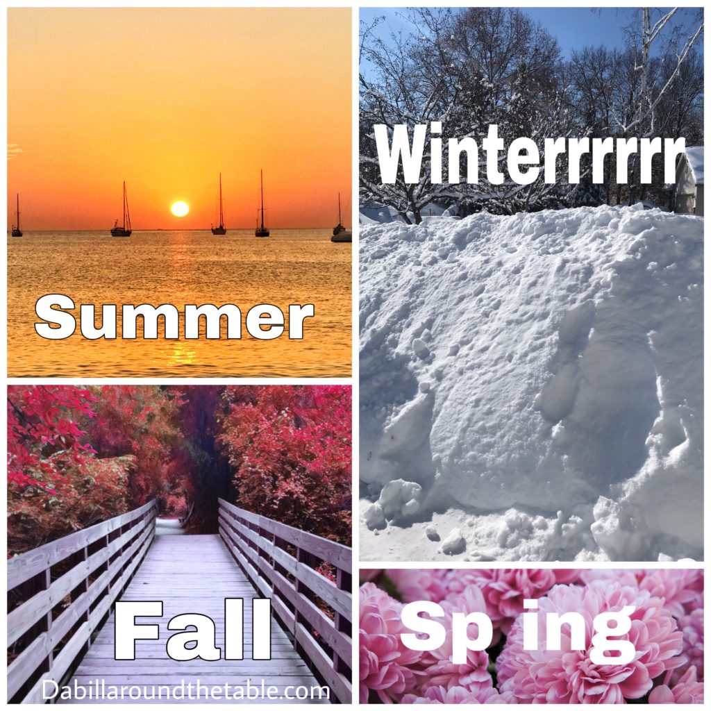 Minnesota Seasons Meme