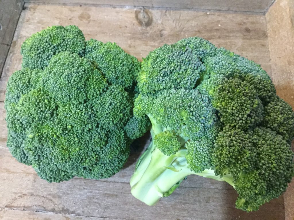 Broccoli