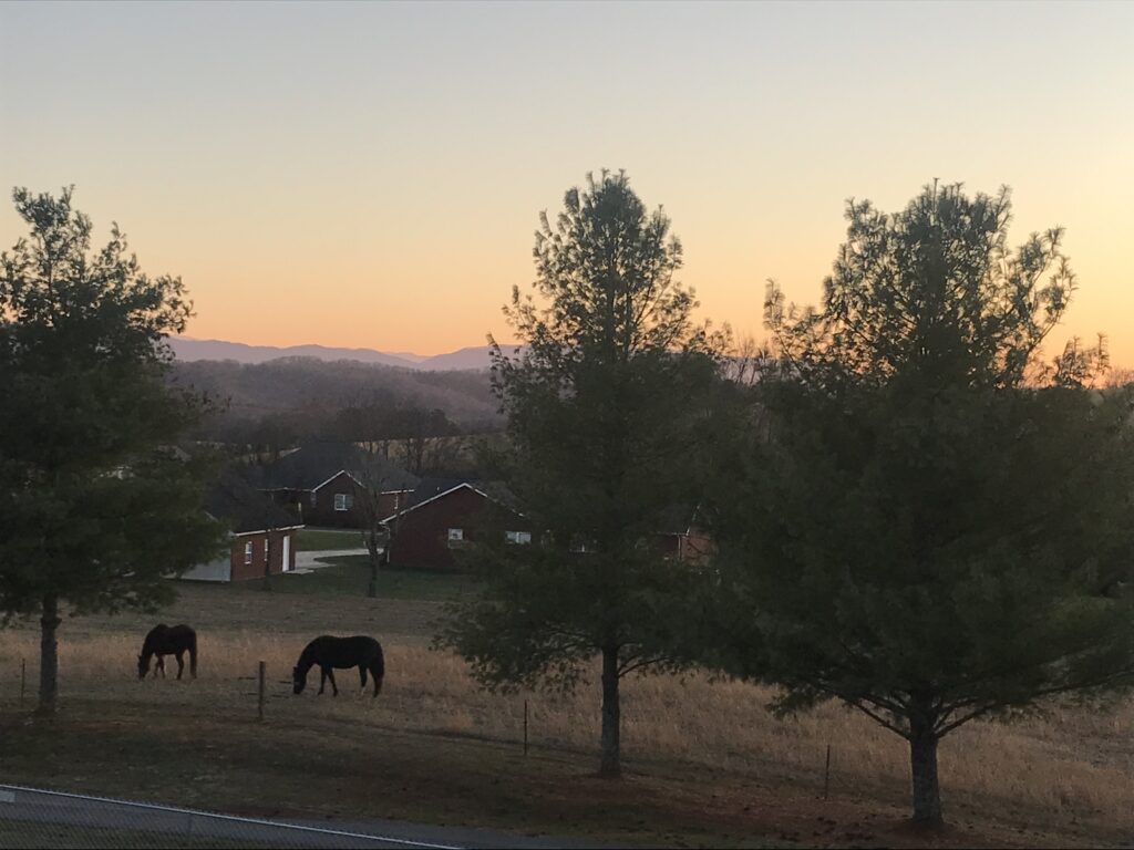 airbnb view