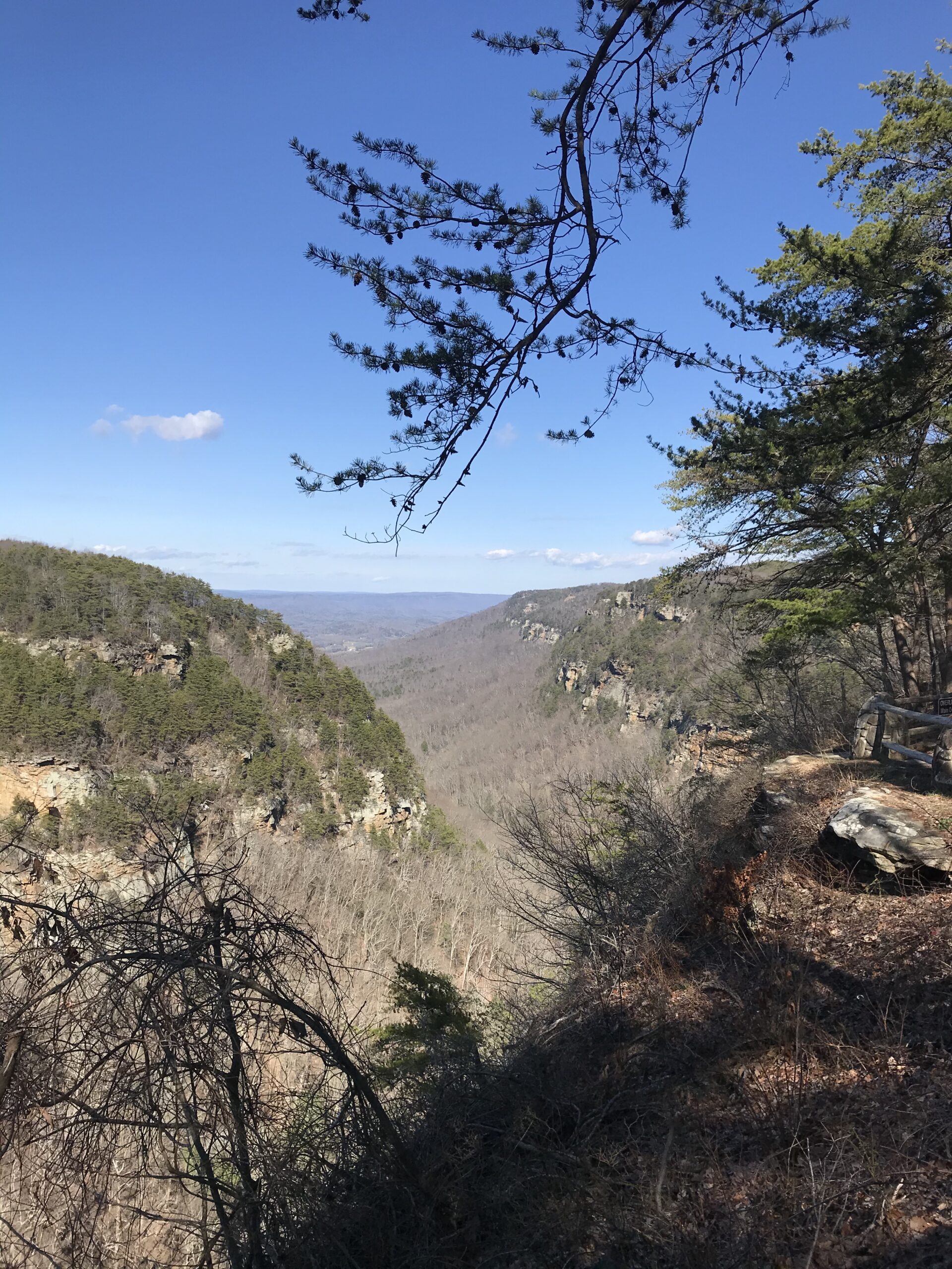 Hiking the Southern States in the Winter - Dabillaroundthetable