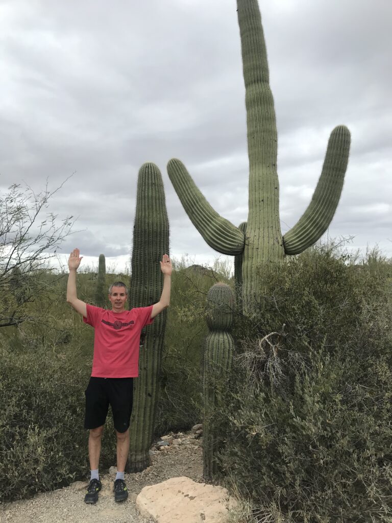 Saguaro