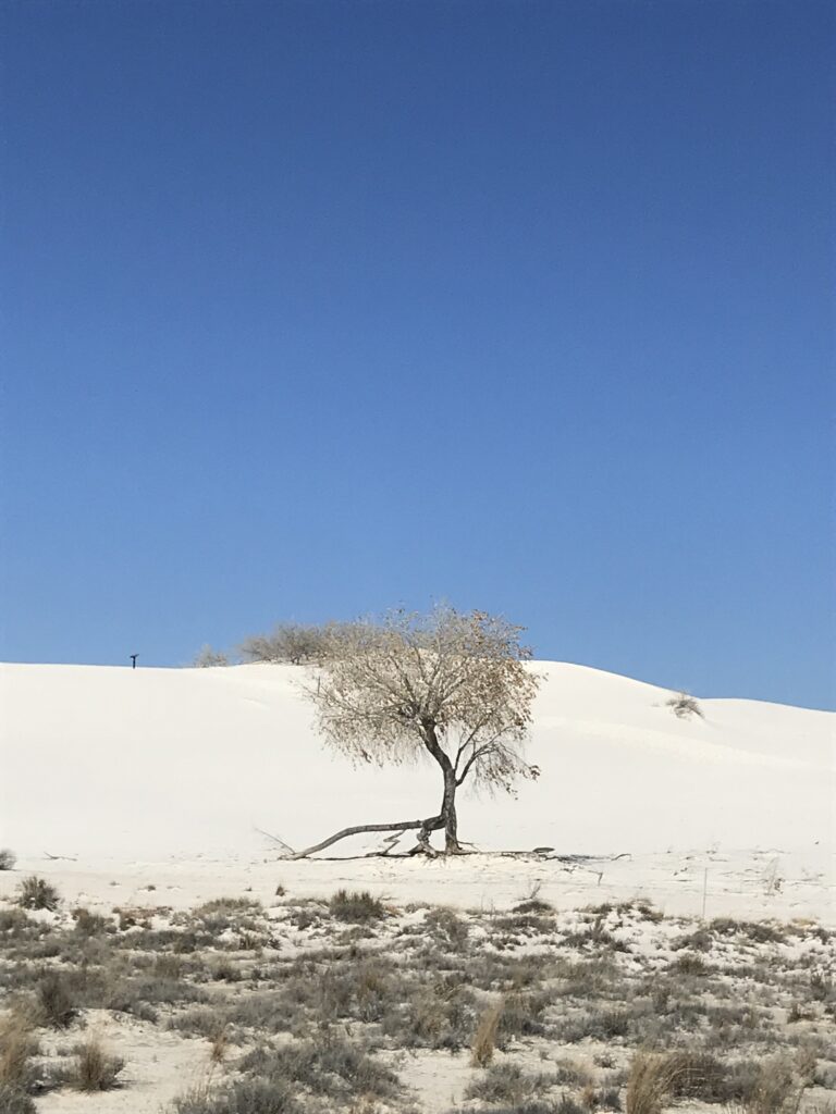 White Sands