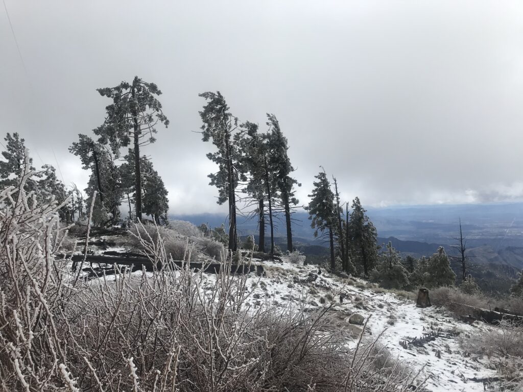 Mt. Lemmon