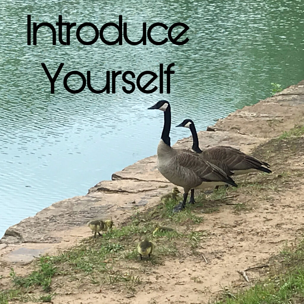 Introduce Self