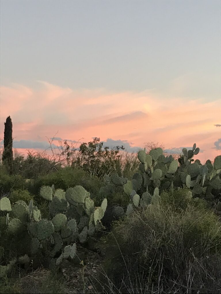 Sunset in Tucson