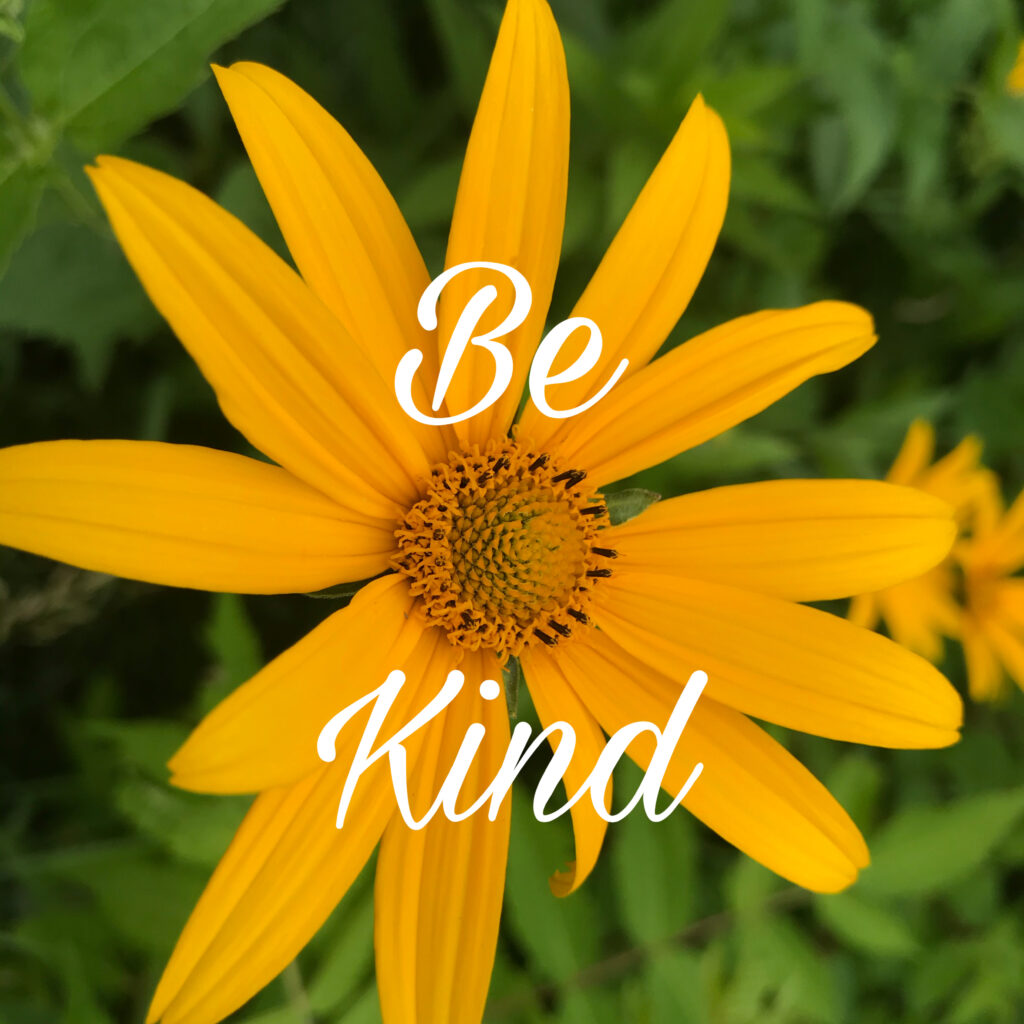 Be kind