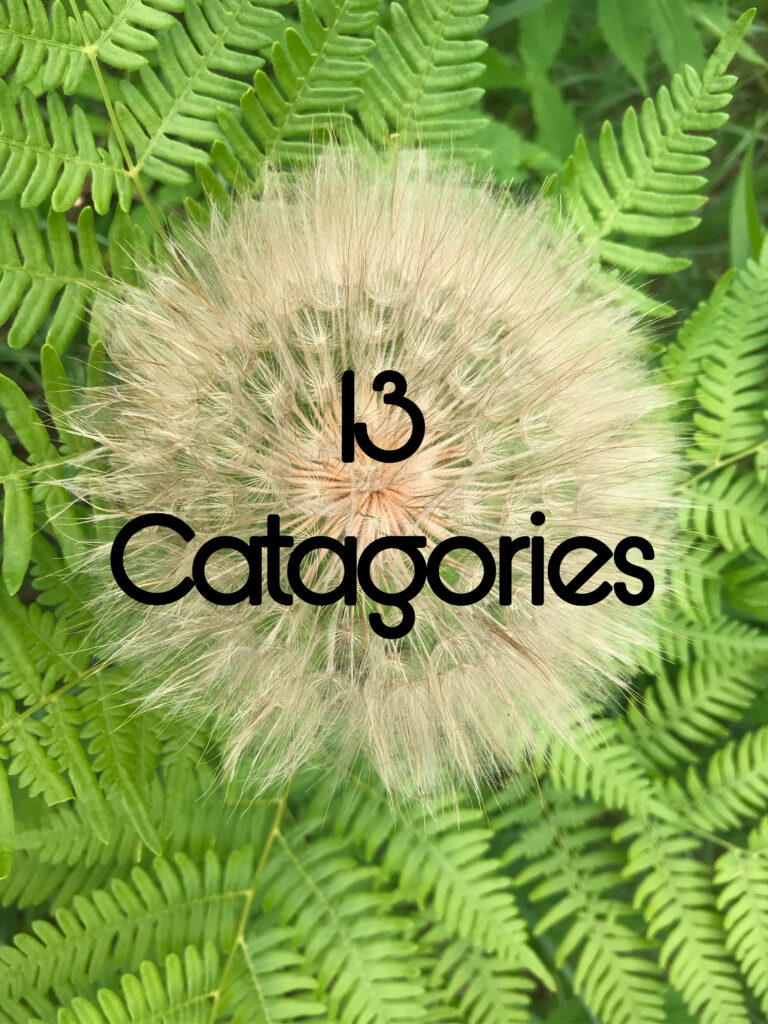 13 Categories