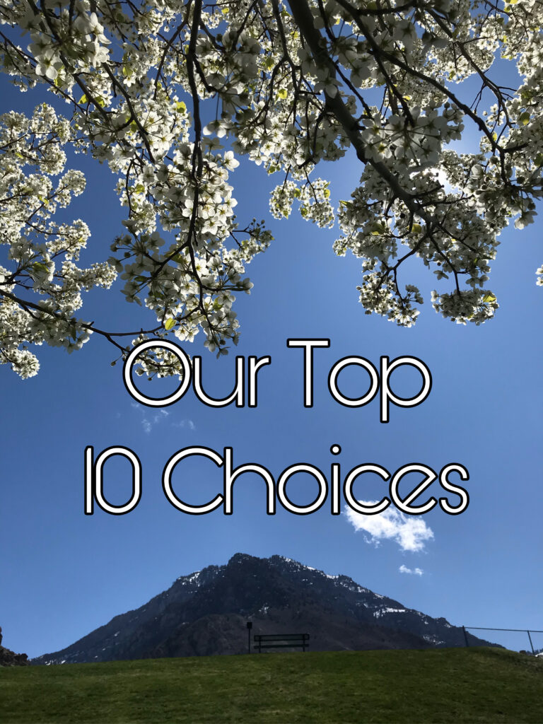 Top 10 choices