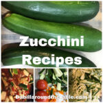 7 Days of Zucchini Recipes for the Family