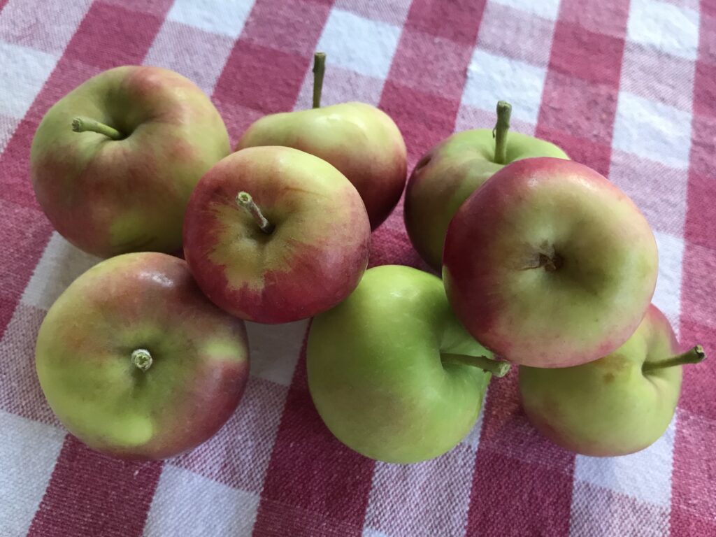 Apples, Apples