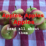 Apples, Apples, Apples- Read All About Them and Recipes