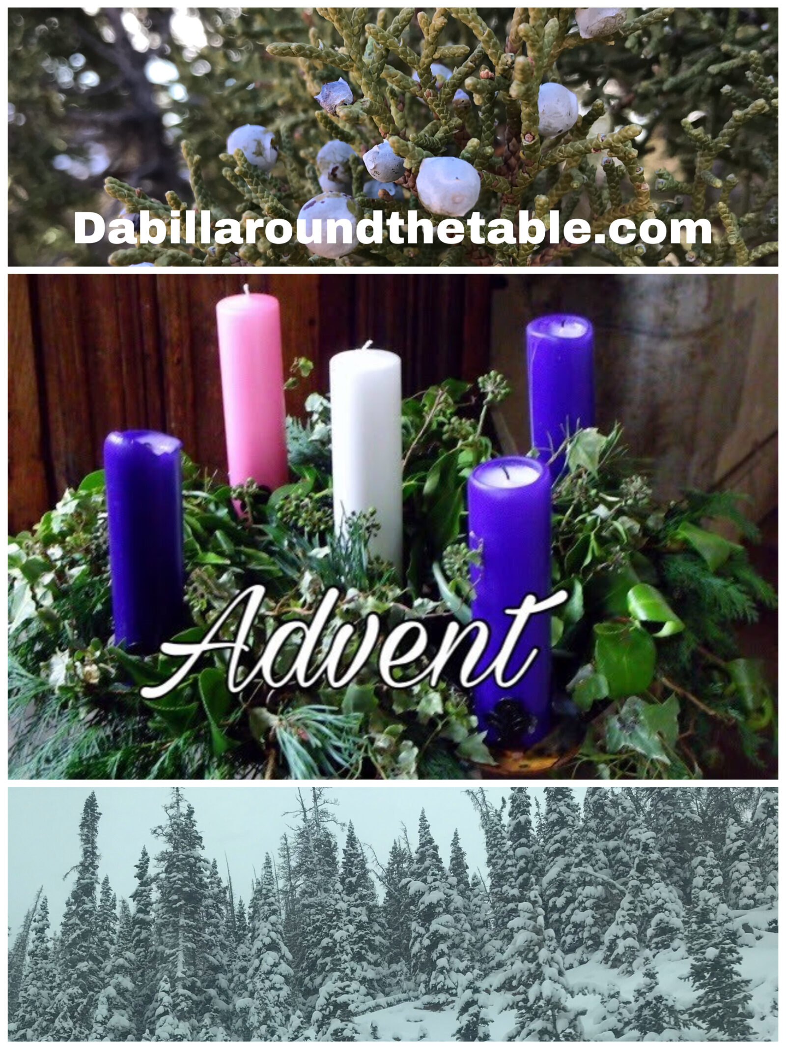 Advent Bible Studies and Books to prepare for Christmas