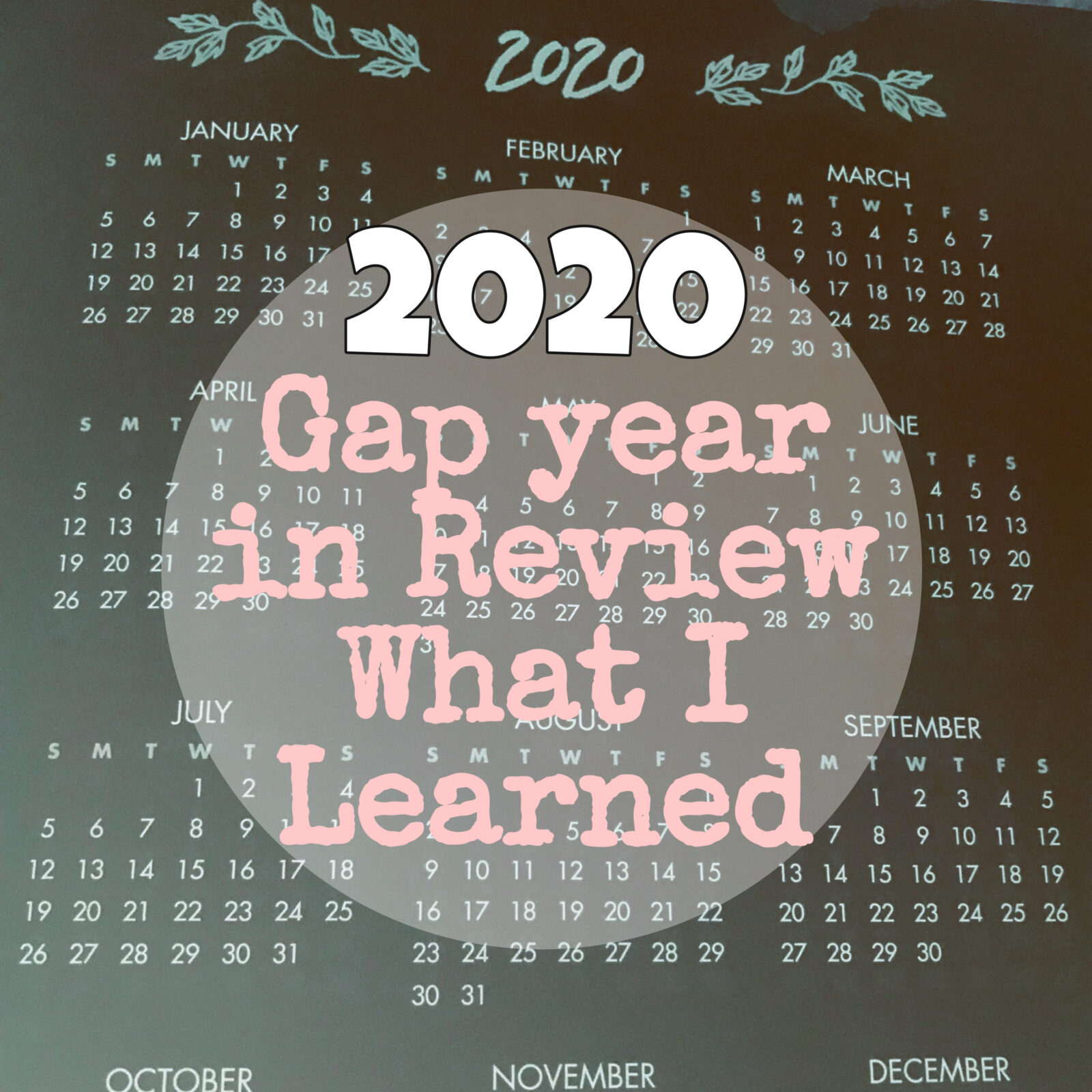 Our Gap Year in Review / What I Learned in 2020