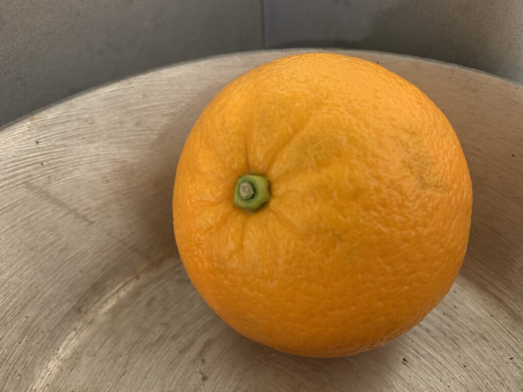 yummy orange