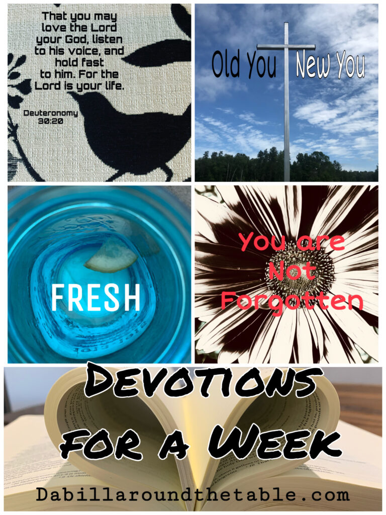 seven devotions for your week