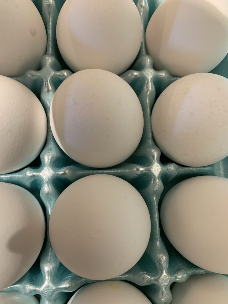 Eggs