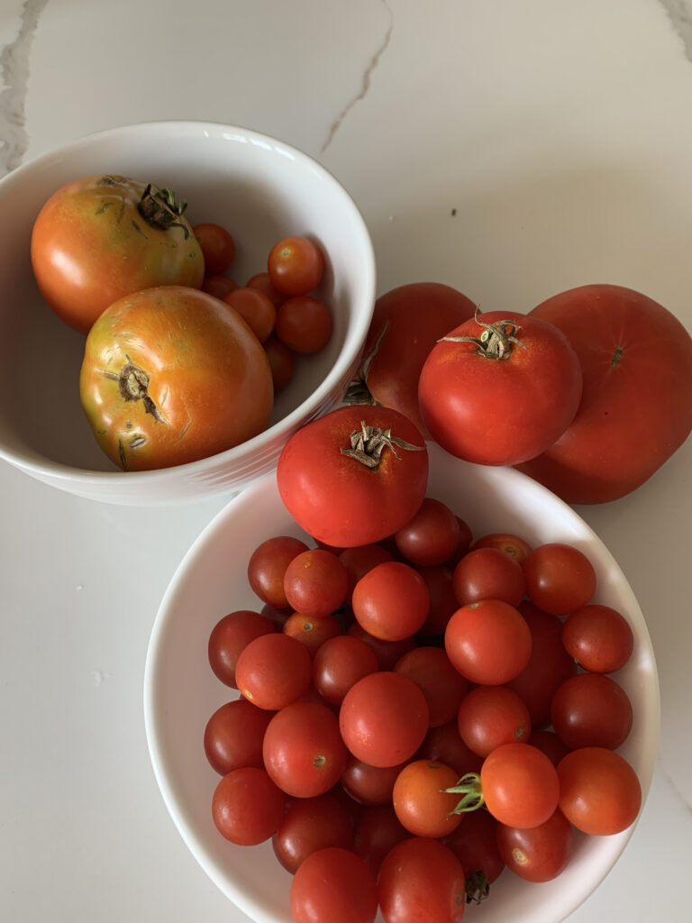 Tomatoes