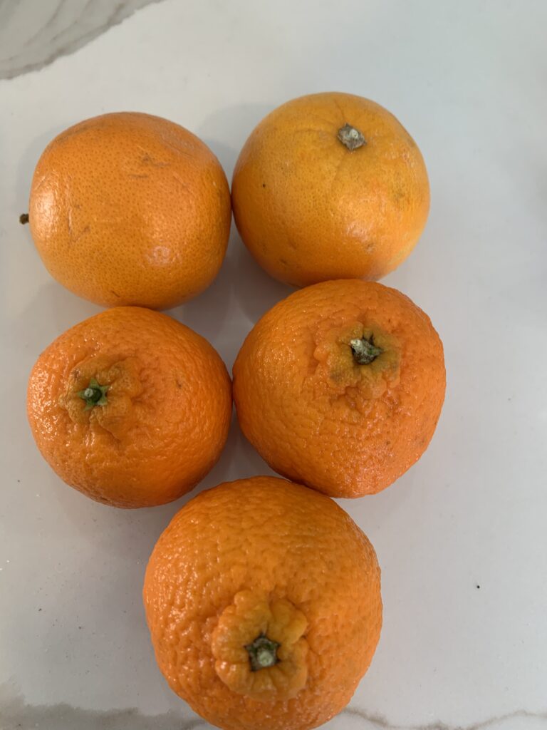 oranges