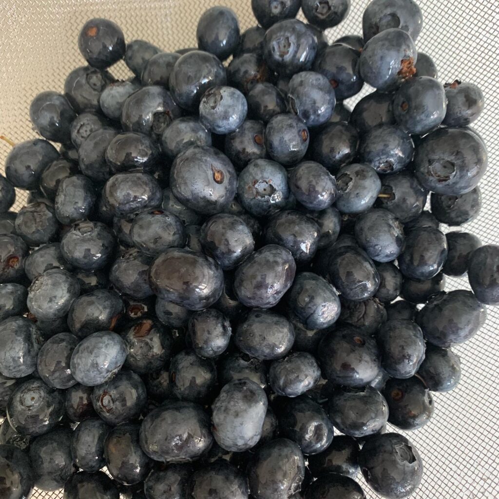 Blue Berries 