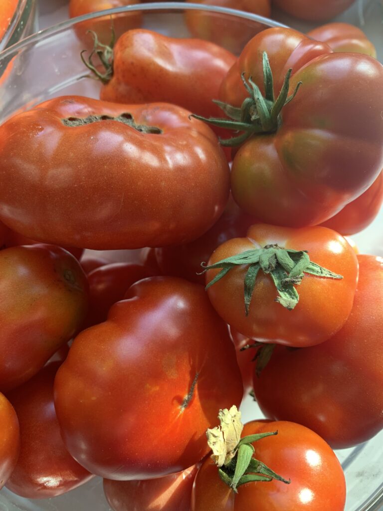 Love for Tomatoes- Recipes for Pico and Bruschetta
