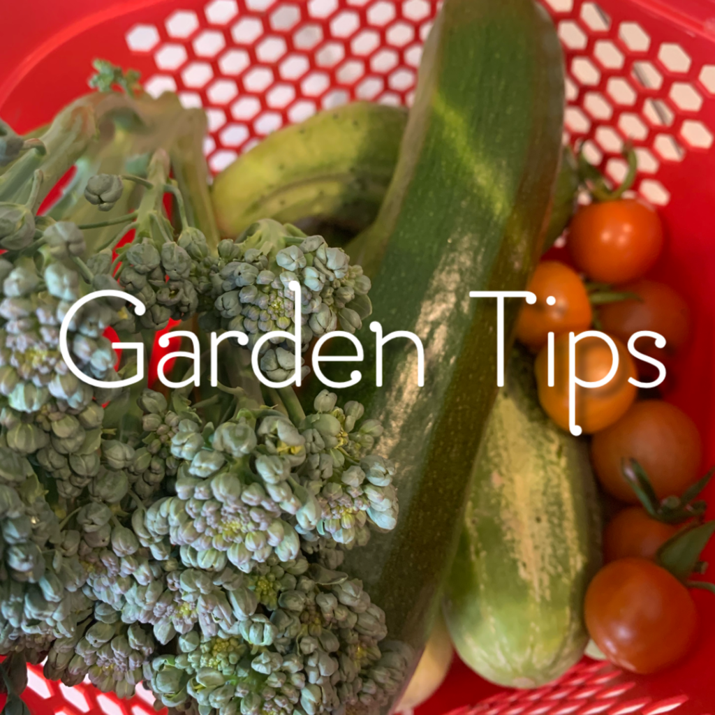 Garden Tips