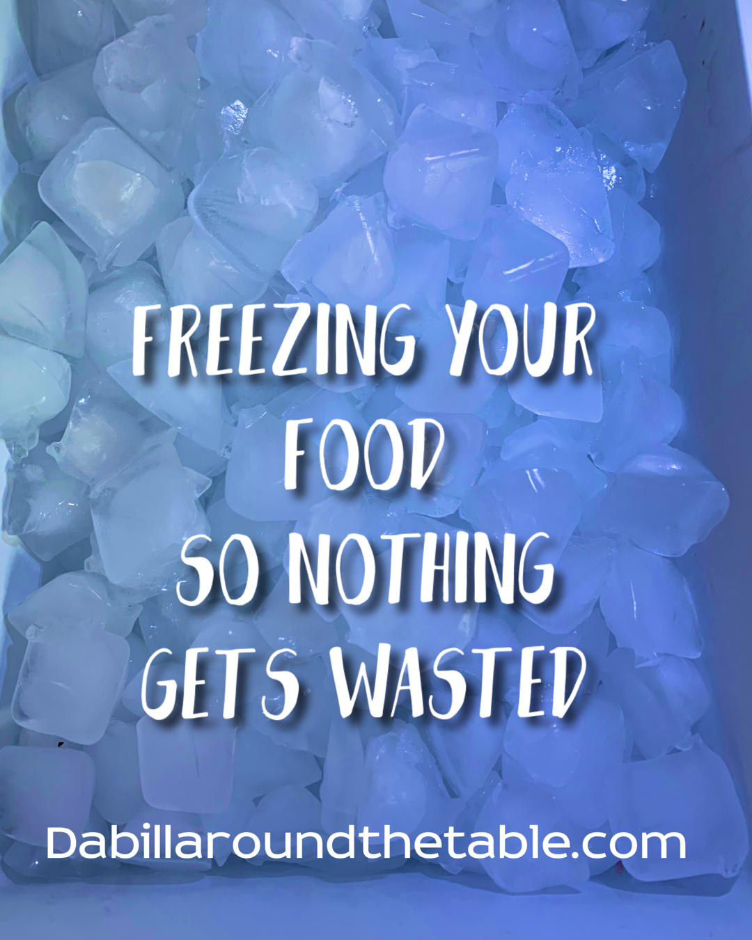 Freeze your food so nothing gets wasted