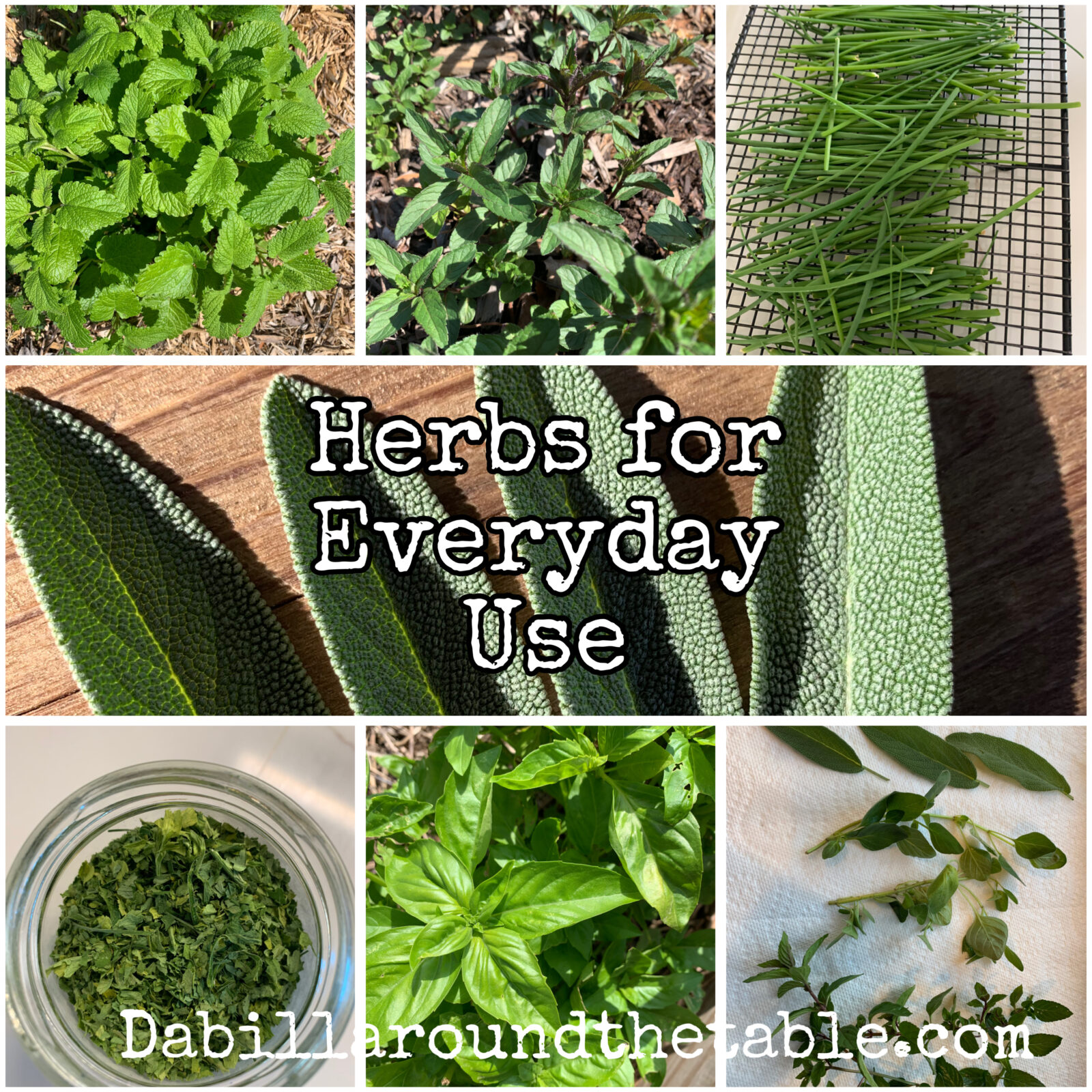 Grow Herbs for Daily Use and Tea