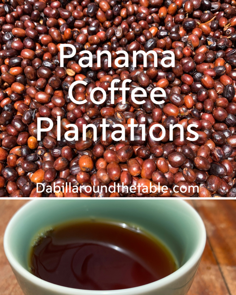 Panama Coffee Plantations