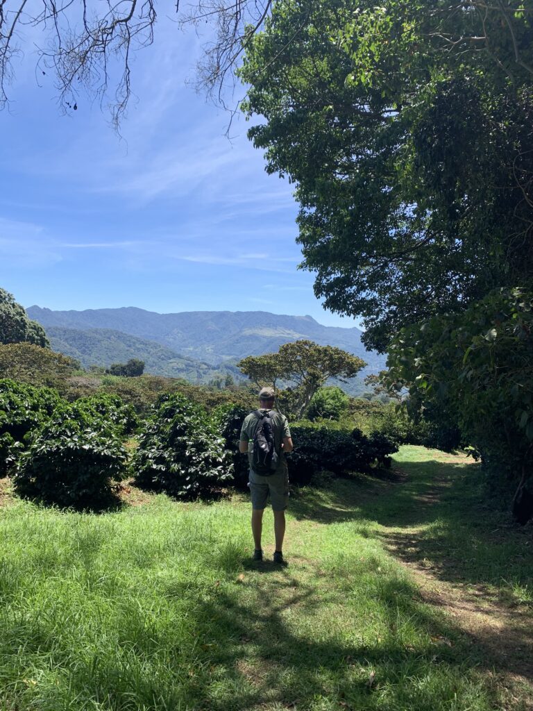 Panama Coffee Plantations