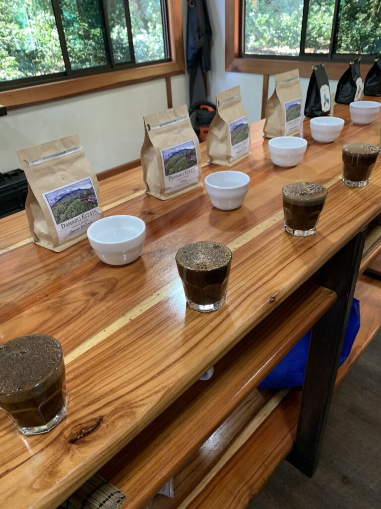 Cupping