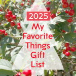 2025 My Favorite Things Gift List