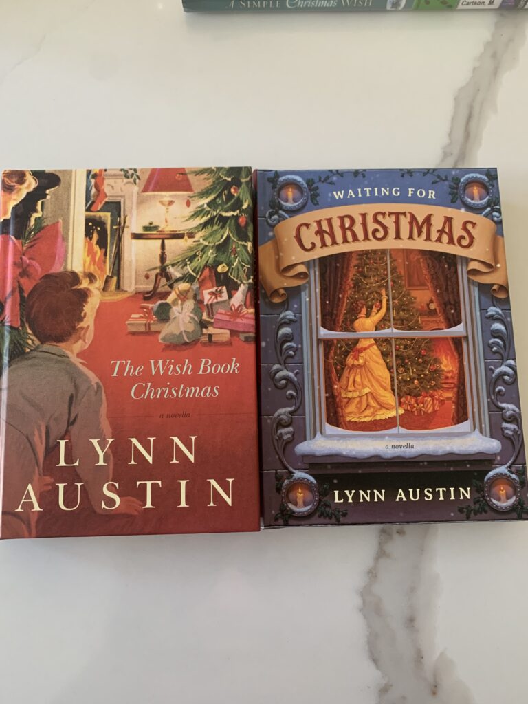 Read a Christmas Book this Season